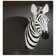 Ziggy The Zebra