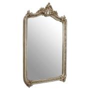 Ornatis Rectangular Wall Bedroom Mirror In Champagne Frame