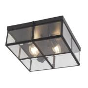 Pisa 2 Light Clear Bevelled Glass Shade Flush Light In Black