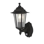 Alex Clear Glass Outdoor Wall Light In Black