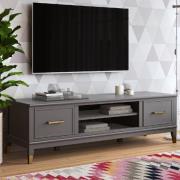 Wantagh Wooden TV Stand With 2 Doors In Graphite Grey