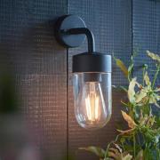 Niceville Clear Glass Outdoor Wall Light In Matt Black